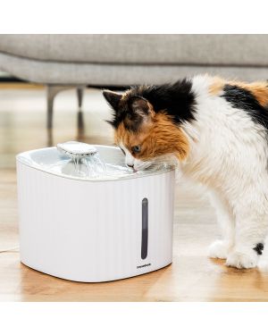 Fontaine à Eau Automatique pour Animaux de Compagnie